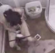 An overhead camera allows us to observe 5 cute girls wiping themselves after taking dumps. Clearly shows poop in toilet. No audio, but nice clip.